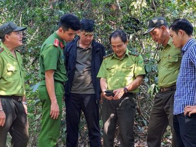 Chú trọng quản lý, bảo vệ rừng ở vùng giáp ranh tỉnh Gia Lai