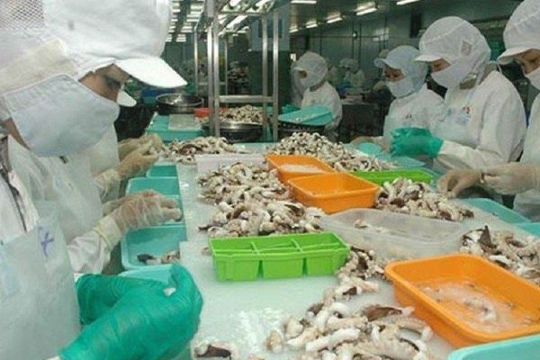 Điểm tên 5 thị trường xuất khẩu mực, bạch tuộc lớn nhất của Việt Nam