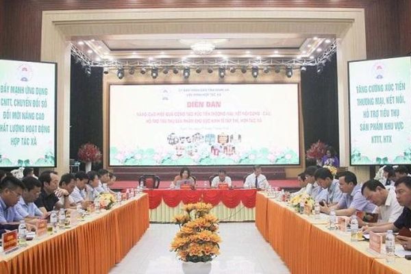 Nâng cao hiệu quả khu vực kinh tế tập thể, hợp tác xã ở Nghệ An