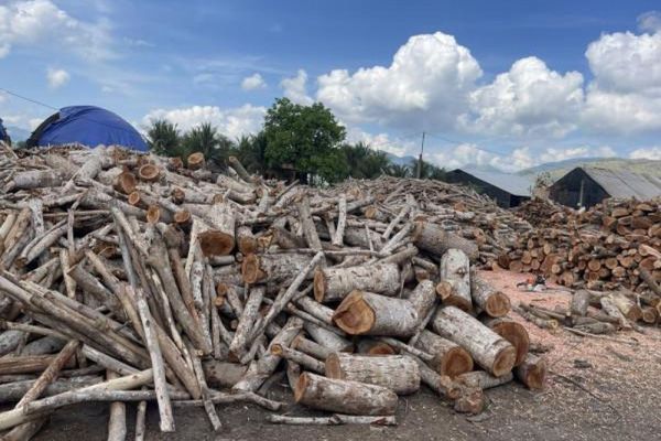 UBND thị xã Ninh Hòa: Yêu cầu đảm bảo môi trường ở các cơ sở sản xuất than