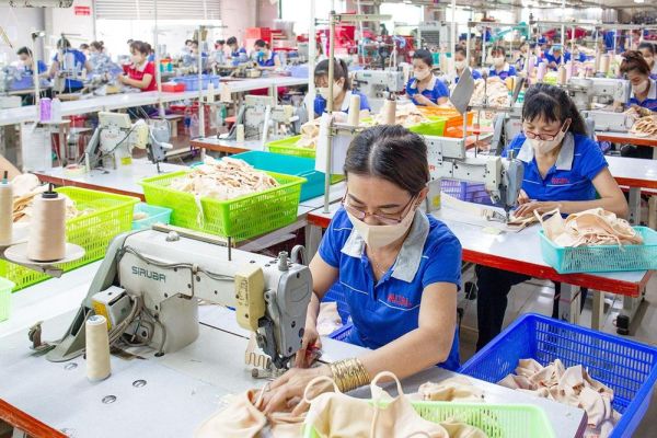 Xây dựng thương hiệu cho hàng Việt - Việc cần làm ngay - Bài 3: Áp lực hàng giả, hàng nhái