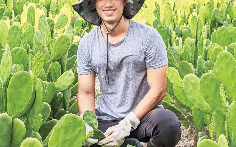 Trần Bảo Huy, nhà sáng lập Công ty TNHH Xương rồng Việt Nam: Biến 'vàng xanh' thành thực phẩm